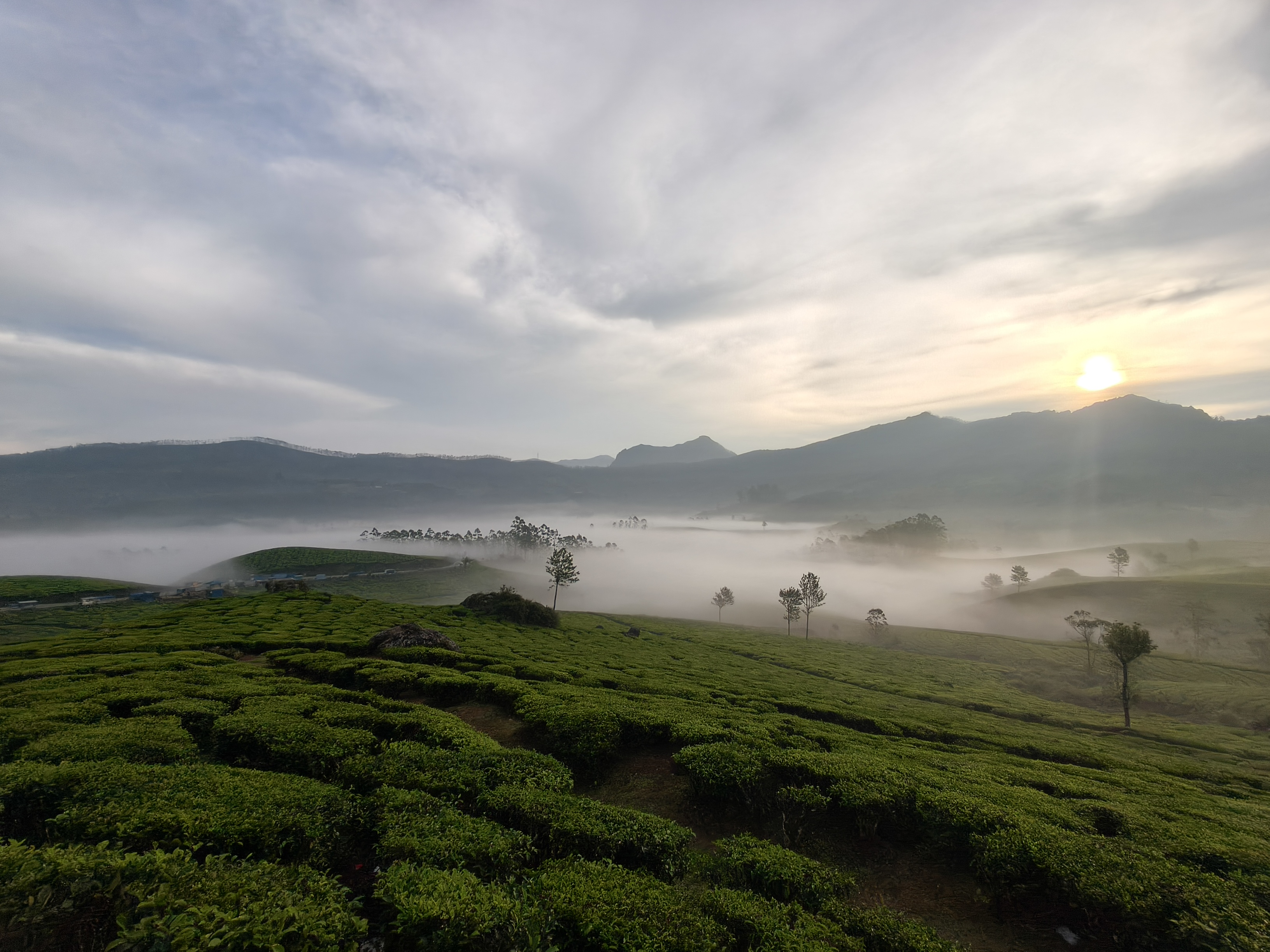 Kolukkumalai sunrise view with mist-covered tea plantations and glowing morning sun